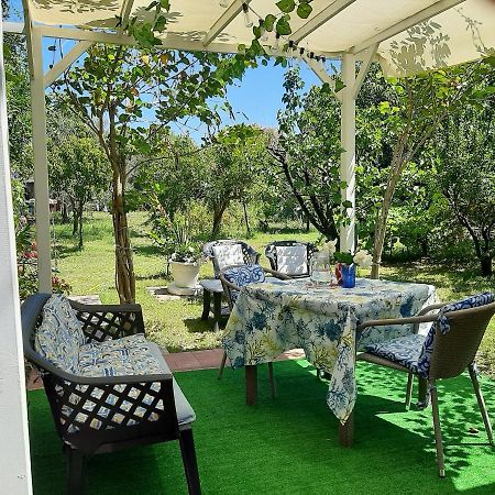 Tom E Jerry Bed & Breakfast Domus De Maria Bagian luar foto