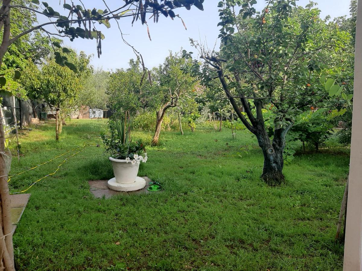Tom E Jerry Bed & Breakfast Domus De Maria Bagian luar foto