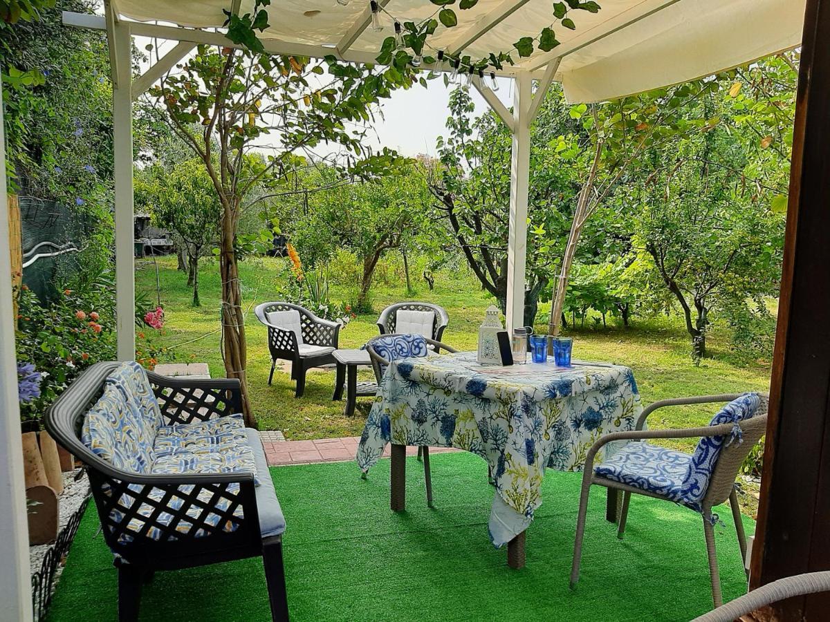 Tom E Jerry Bed & Breakfast Domus De Maria Bagian luar foto