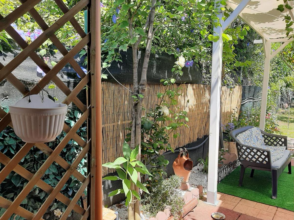 Tom E Jerry Bed & Breakfast Domus De Maria Bagian luar foto