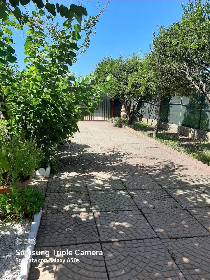 Tom E Jerry Bed & Breakfast Domus De Maria Bagian luar foto