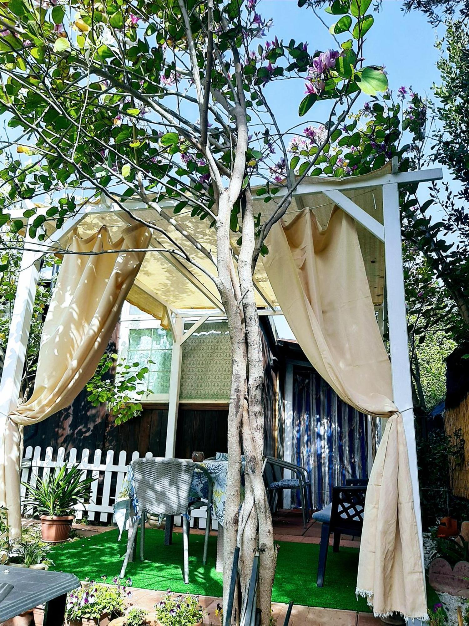 Tom E Jerry Bed & Breakfast Domus De Maria Bagian luar foto